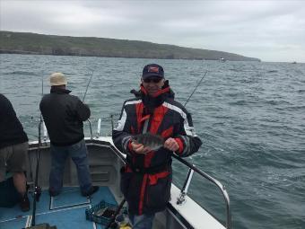 1 lb Black Sea Bream by Chris Read