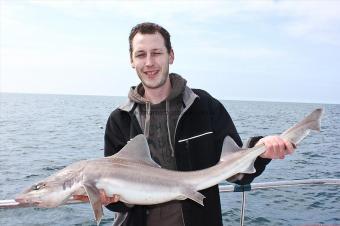 14 lb Starry Smooth-hound by Mark