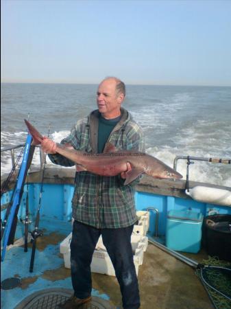 15 lb 8 oz Spurdog by ROB SHEPHERD