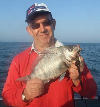 3 lb Black Sea Bream by Jim Sivier