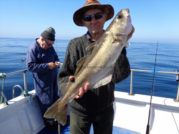 9 lb Pollock by Clive