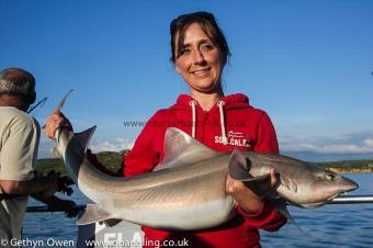 21 lb 12 oz Starry Smooth-hound by Claire