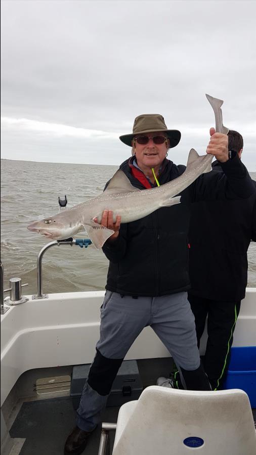 8 lb Starry Smooth-hound by Geoff  Ball