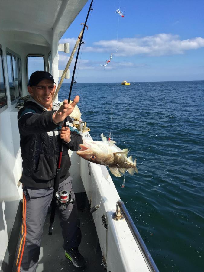 3 lb Cod by Foul hook
