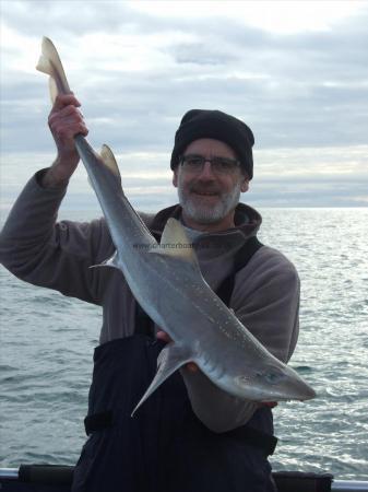 13 lb 9 oz Starry Smooth-hound by John Billett