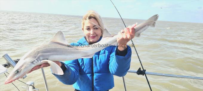 9 lb 2 oz Smooth-hound (Common) by Steffi