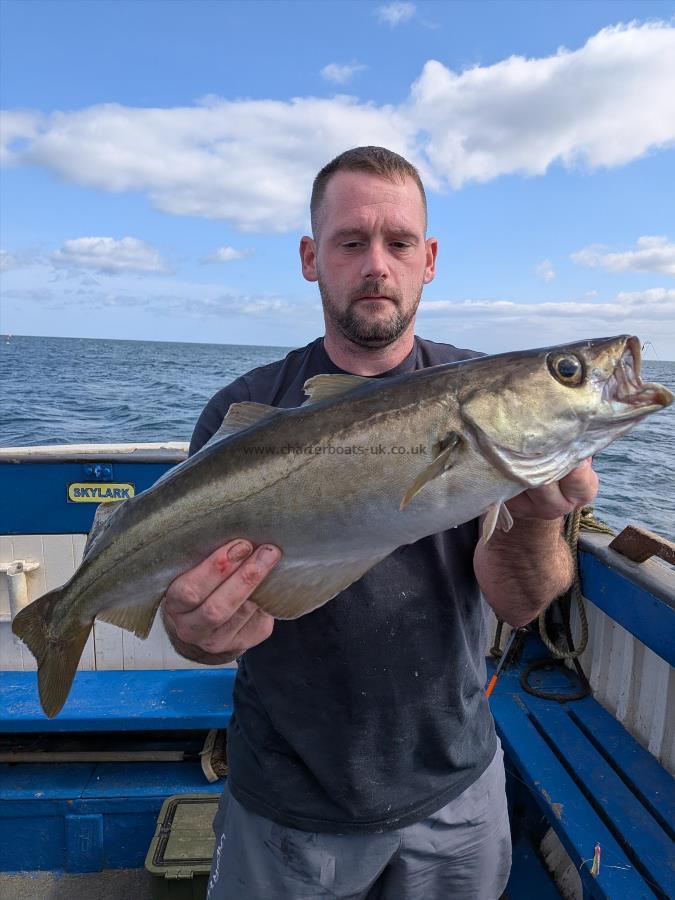 5 lb 3 oz Pollock by Unknown
