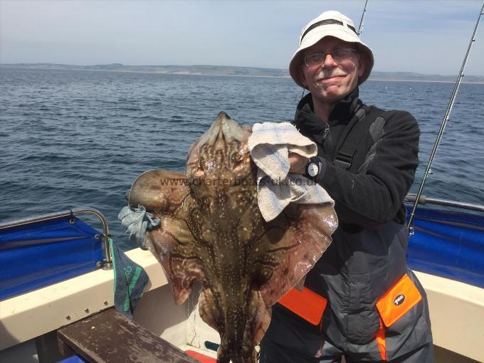 8 lb Undulate Ray by Ron