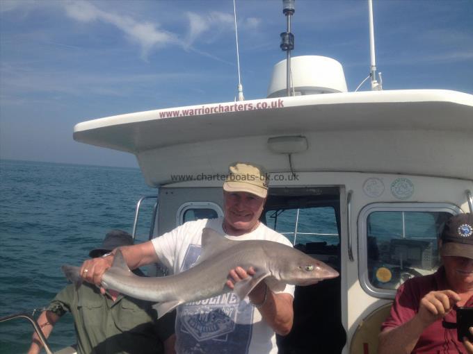 15 lb Smooth-hound (Common) by Glen Cronin