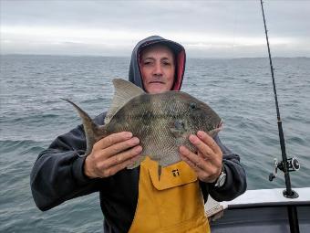 2 lb 5 oz Trigger Fish by John Sherman