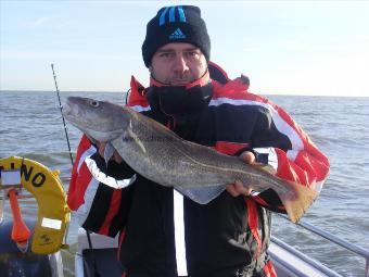 7 lb Cod by Dave