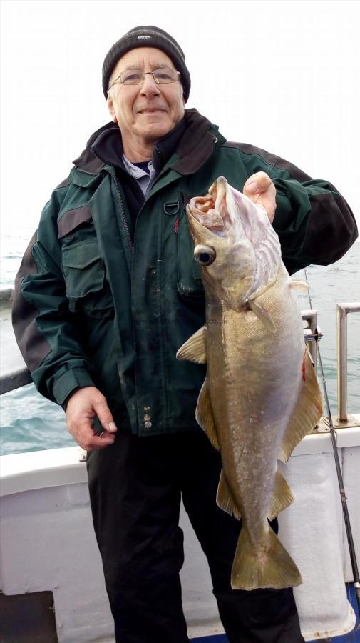 12 lb 4 oz Pollock by Dennis