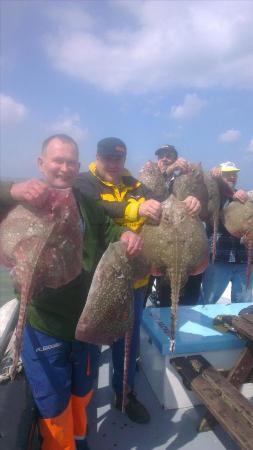 11 lb 5 oz Thornback Ray by peters skate trip