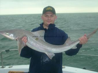 19 lb 8 oz Smooth-hound (Common) by james
