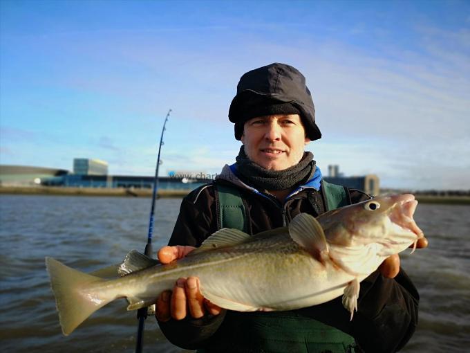 4 lb 13 oz Cod by Unknown