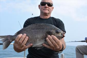 4 lb 12 oz Black Sea Bream by Stephen Wake