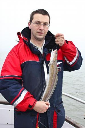 3 lb 8 oz Ling by Gareth P