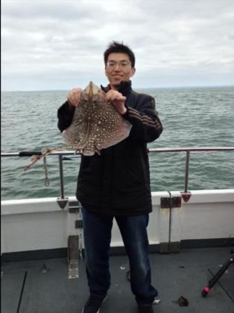 4 lb Thornback Ray by Unknown