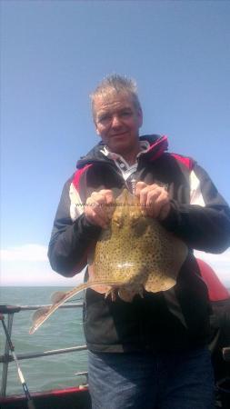 2 lb Spotted Ray by Unknown