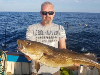 12 lb Cod by Unknown