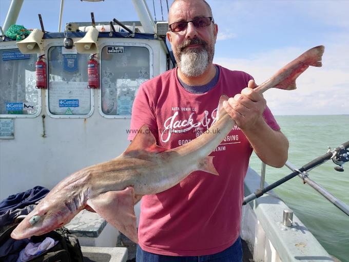 5 lb 1 oz Starry Smooth-hound by Tom