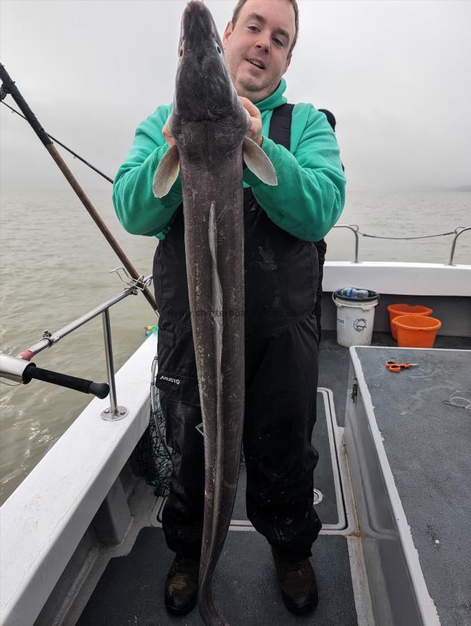 25 lb Conger Eel by Wax