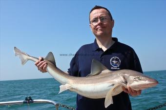 18 lb Starry Smooth-hound by Billy Mac