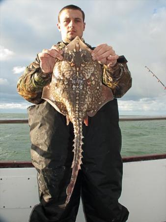 6 lb Thornback Ray by Richard