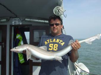 2 oz Smooth-hound by Unknown