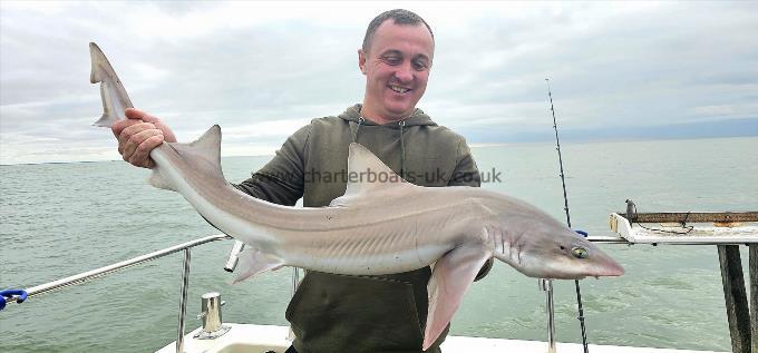 13 lb 2 oz Starry Smooth-hound by Barry