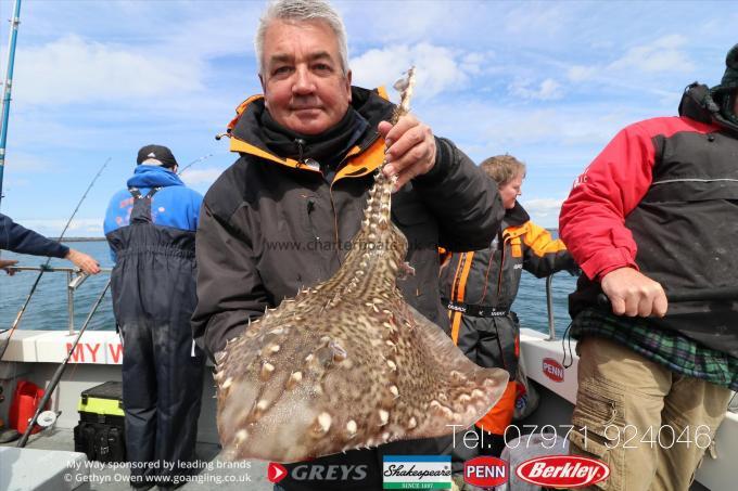 5 lb Thornback Ray by Dave