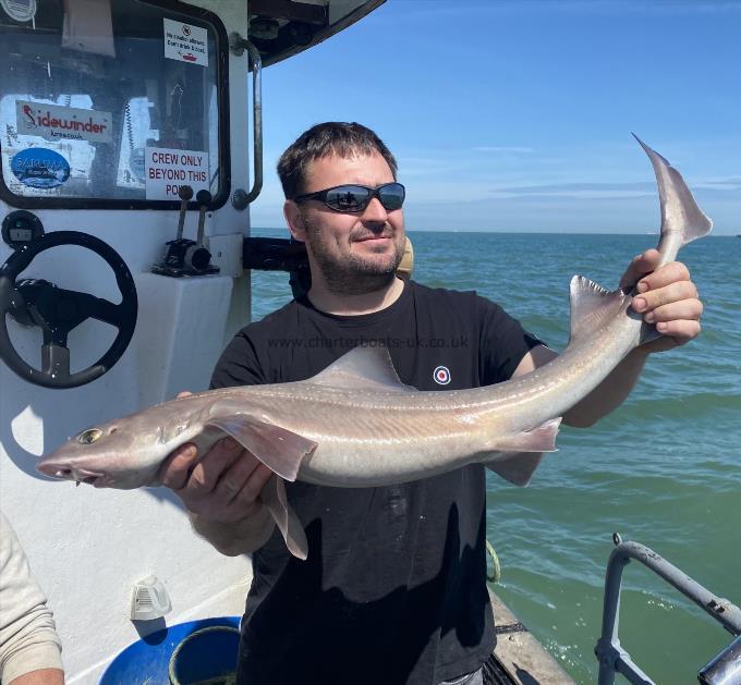 6 lb Smooth-hound by Unknown