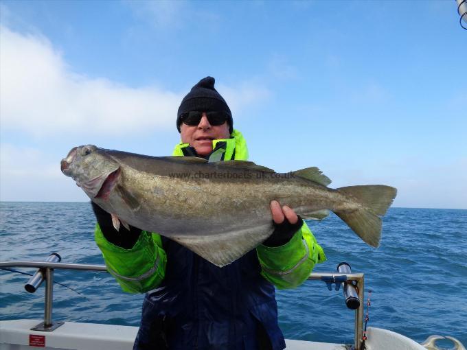 14 lb 4 oz Pollock by Cliff