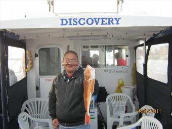 2 lb 10 oz Tub Gurnard by Unknown