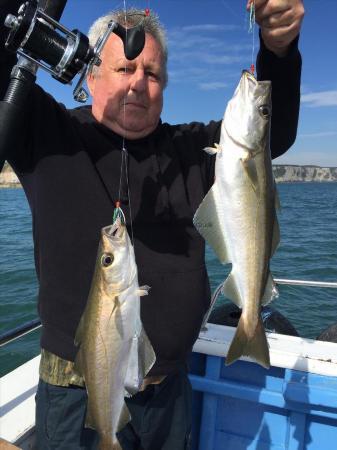 3 lb Pollock by yaner with 2 pollock in one drop