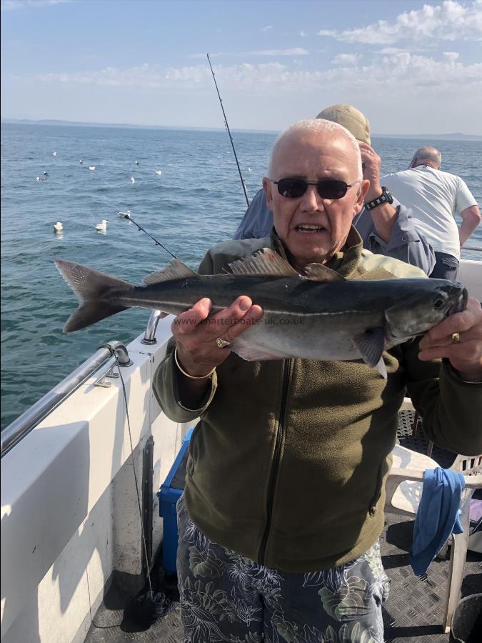 4 lb Coalfish (Coley/Saithe) by Unknown