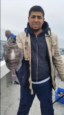 2 lb 10 oz Black Sea Bream by Unknown