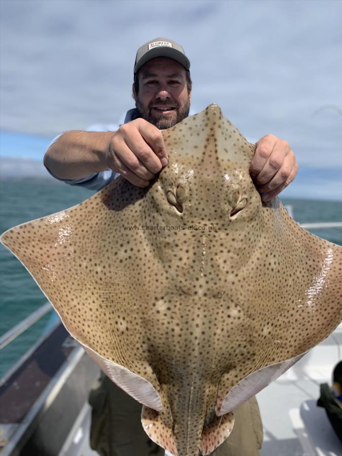 20 lb Blonde Ray by Unknown