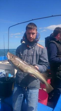 4 lb 8 oz Cod by Unknown