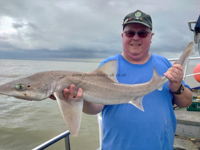 8 lb 2 oz Smooth-hound (Common) by Big nige