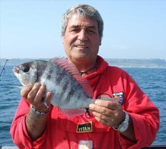 3 lb Black Sea Bream by Charlie Vanopdorp