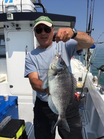 3 lb 3 oz Black Sea Bream by Graeme Galloway