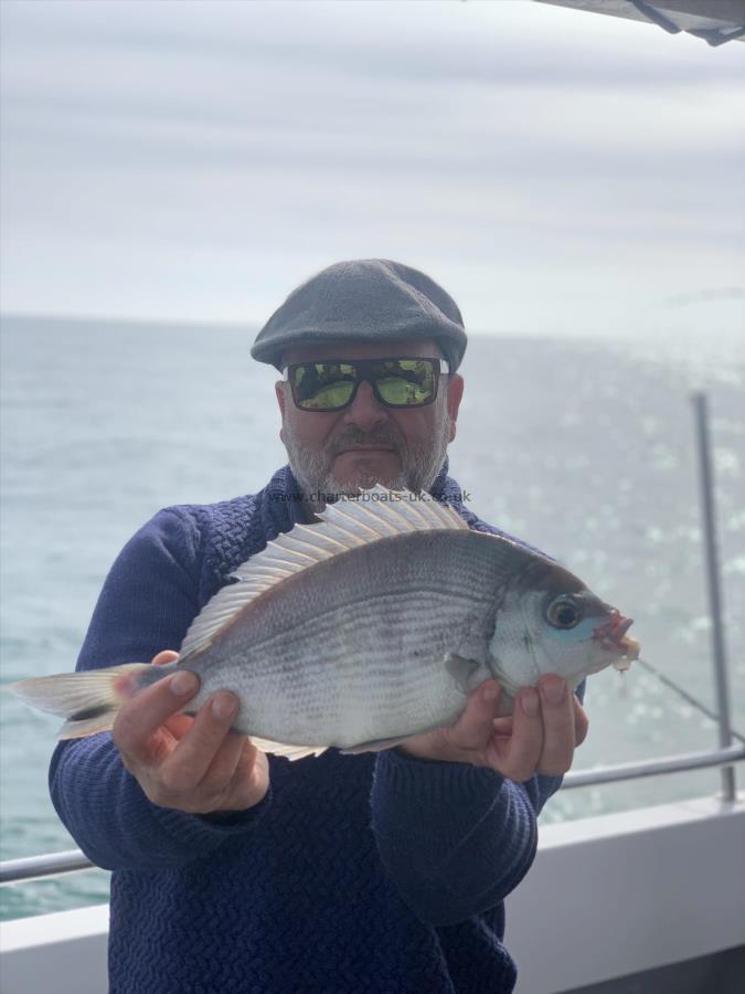 3 lb 2 oz Black Sea Bream by Colin