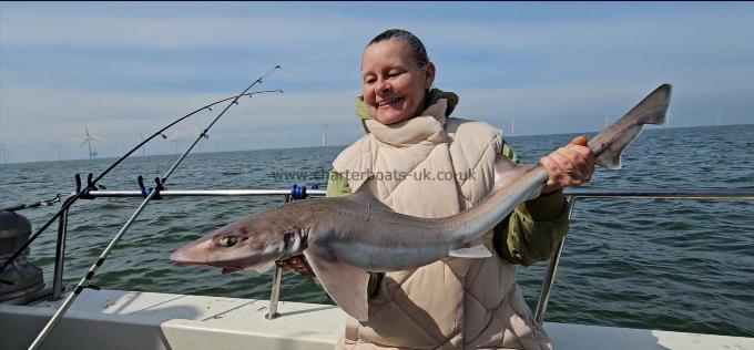 10 lb 2 oz Starry Smooth-hound by Nicky