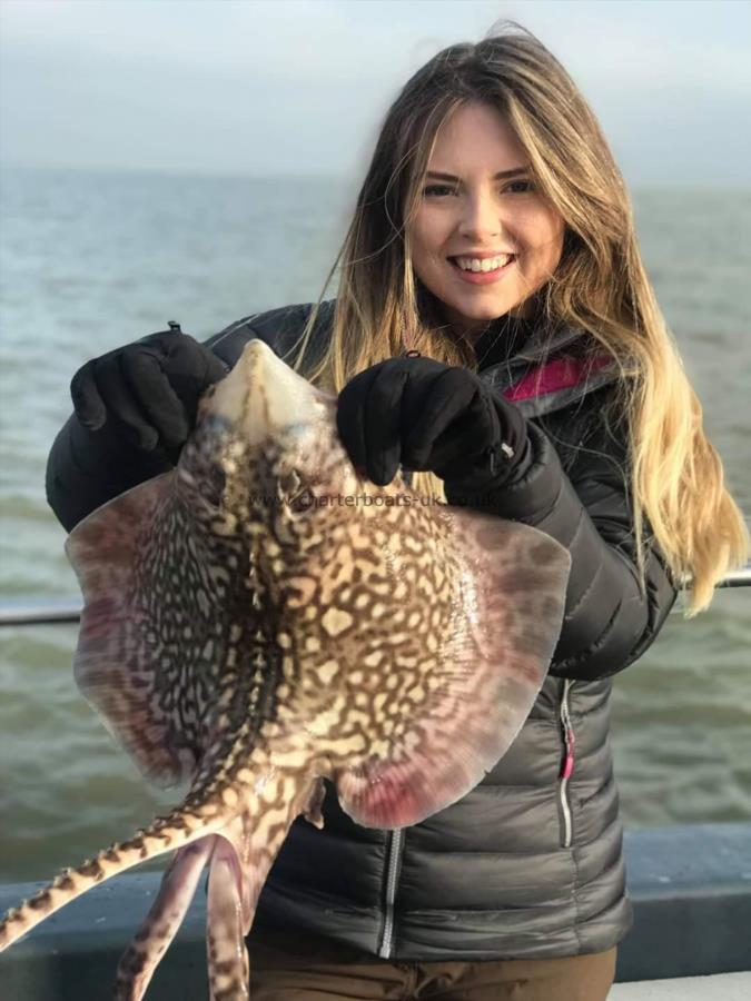 5 lb 2 oz Thornback Ray by Jo from London