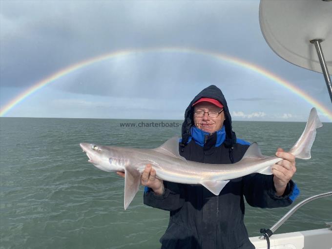 7 lb Smooth-hound (Common) by Unknown