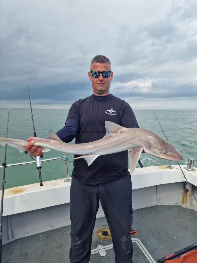 7 lb Smooth-hound (Common) by Steve