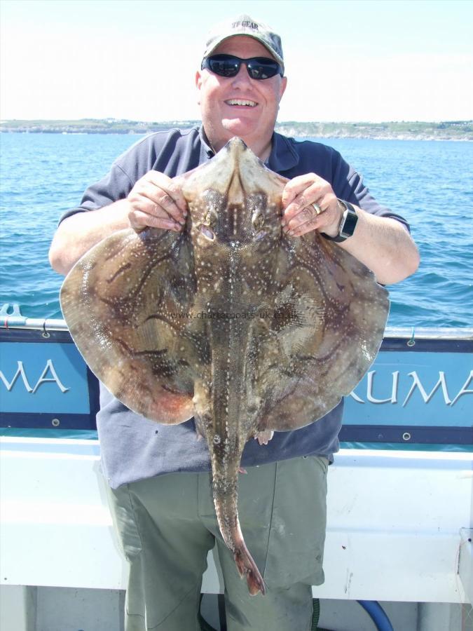 12 lb Undulate Ray by Paul Milkins