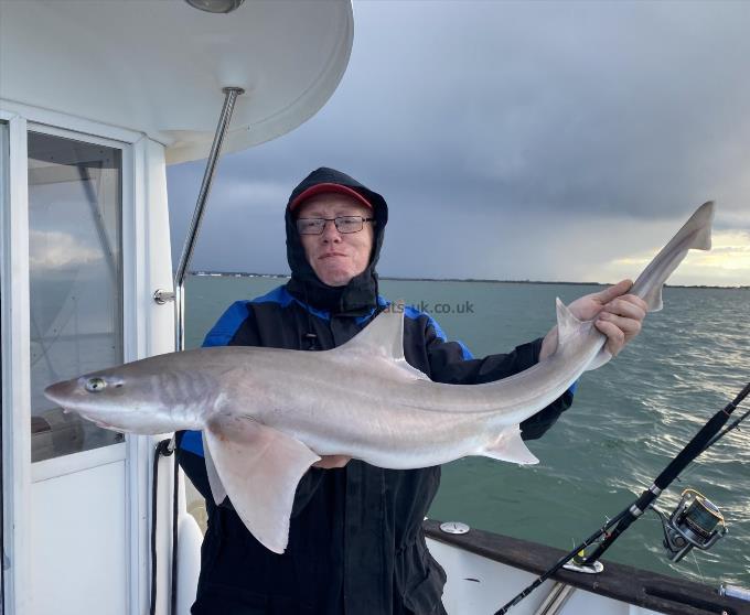 16 lb Smooth-hound (Common) by Unknown