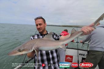 13 lb Starry Smooth-hound by Nai